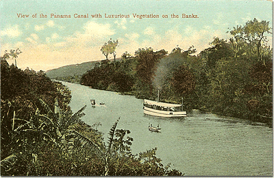 View of the Panama Canal with Luxurious Vegetation